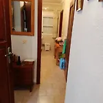 Vikingo *